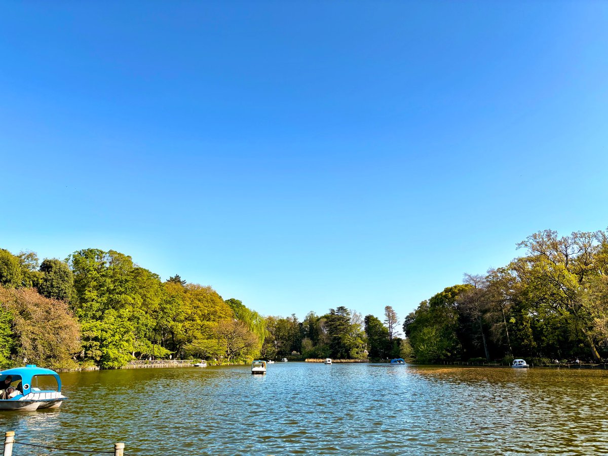 いつもの公園
吸い込まれそうなアオ

池までアオくなってる
ベンチで呑む酎ハイがすすむ