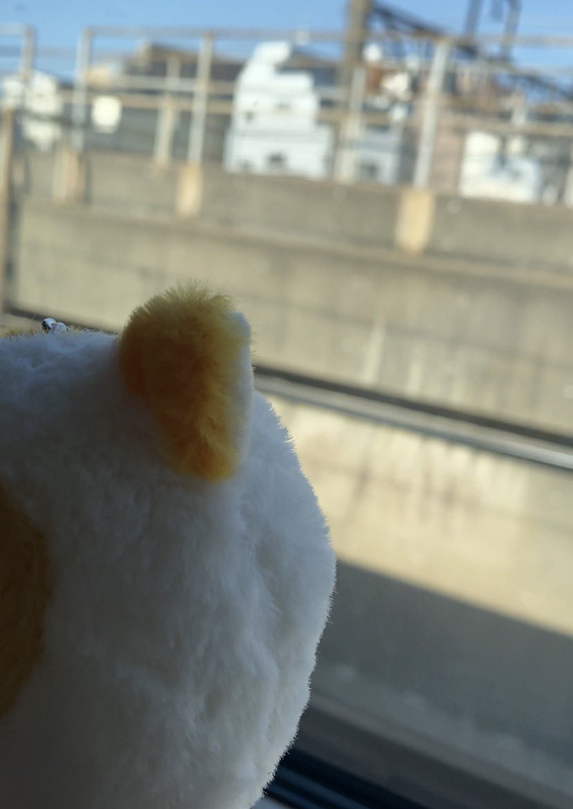 しーだ tweet media