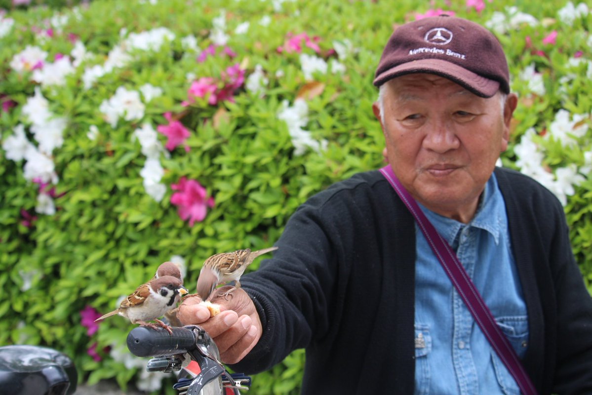 村上正晃（広島平和記念公園ガイド） tweet media