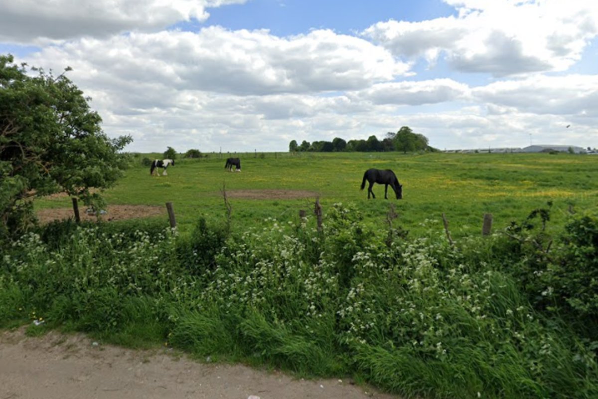 News Shopper tweet media