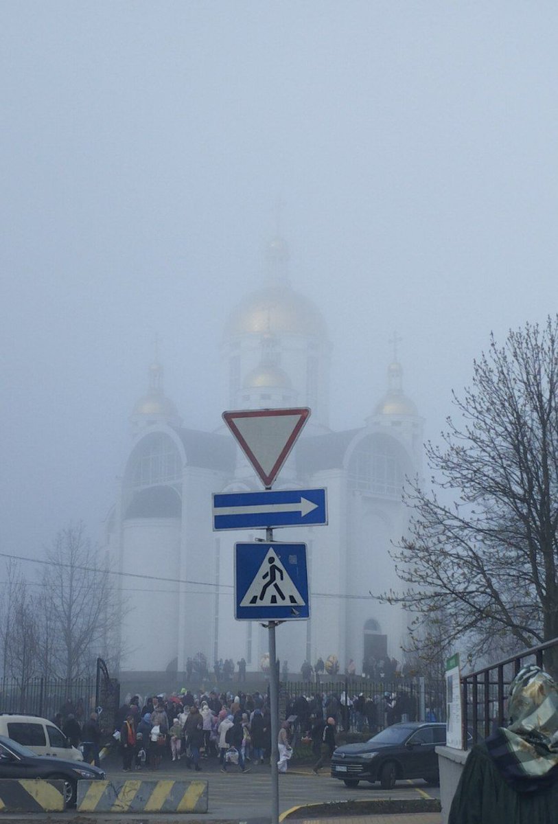 Mockingbird tweet media