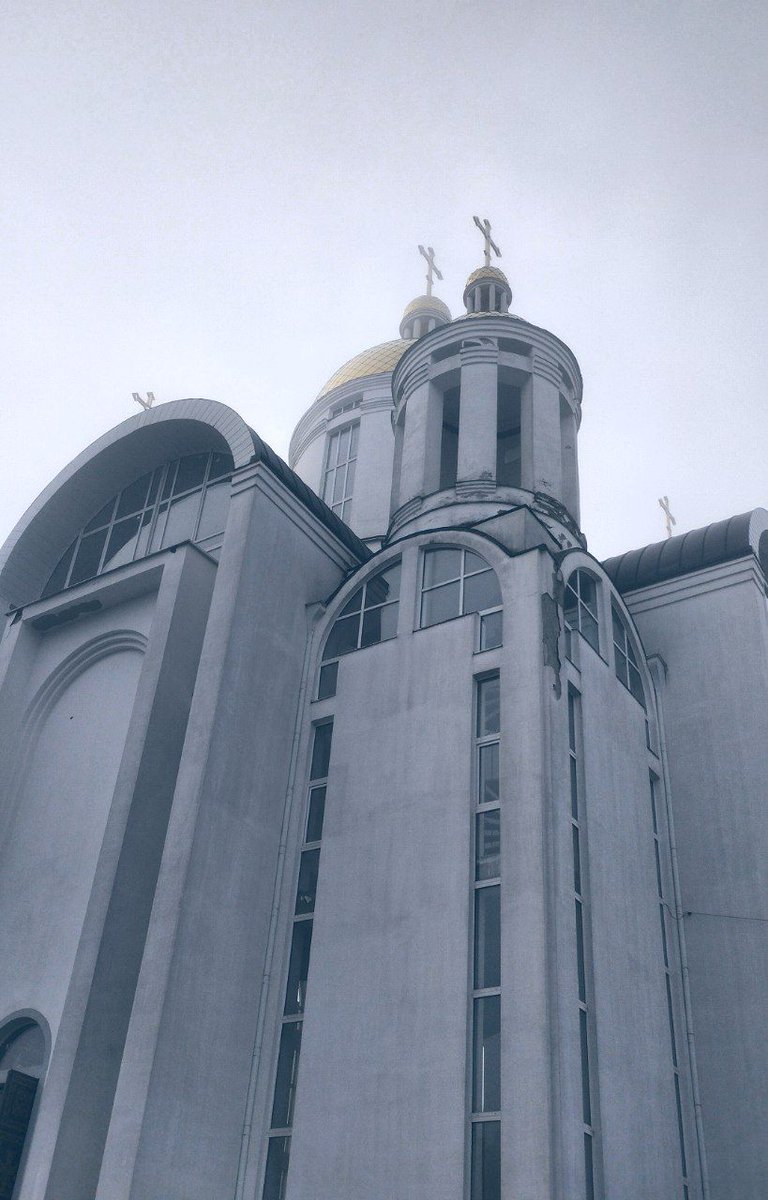 Mockingbird tweet media