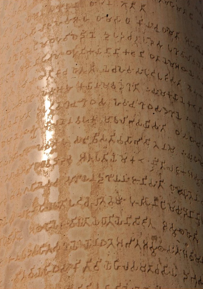 Ikan bersisik dalam tong tweet media