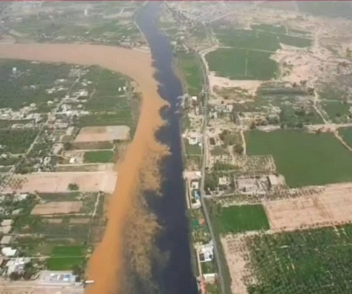 مشوط العجمي tweet media