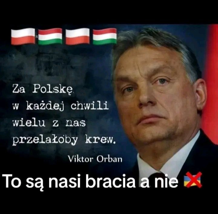 Ewa Ululska tweet media