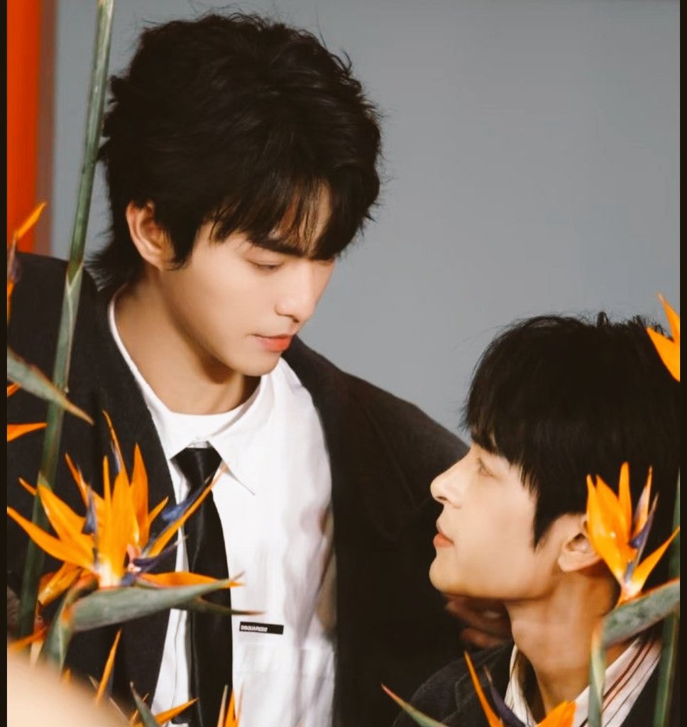 Rose✩︎⸝🩷ˎˊ˗ tweet media