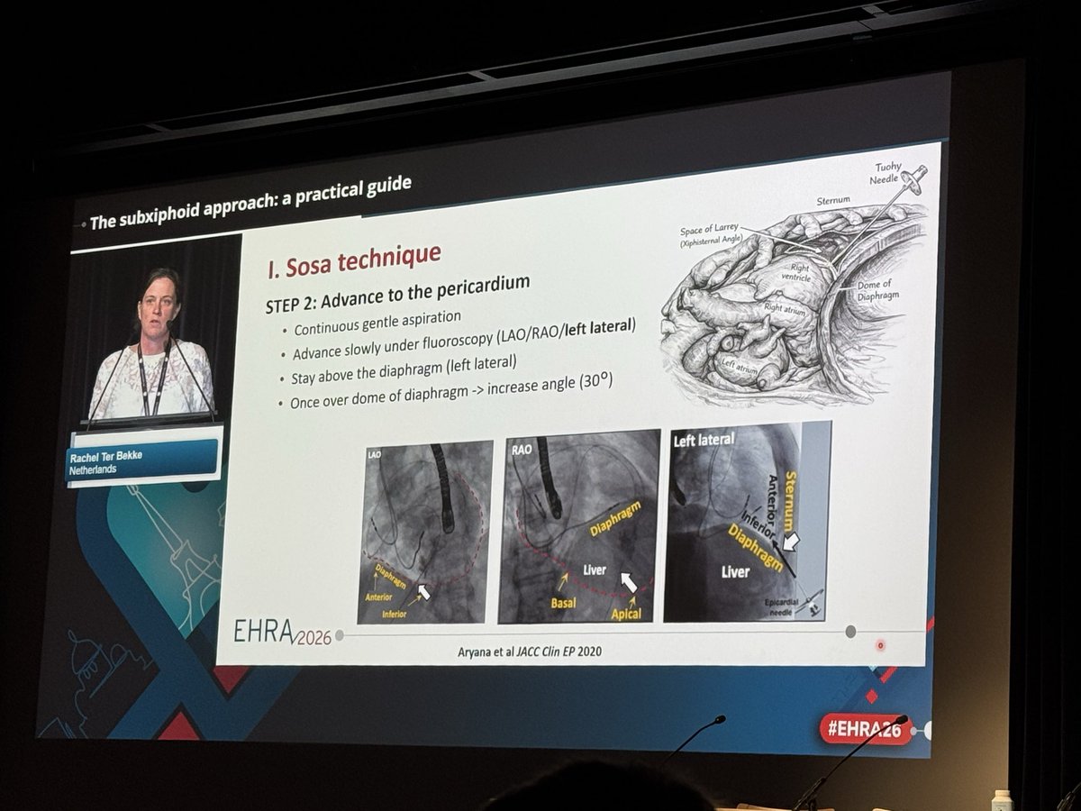 Augusto Meretta tweet media