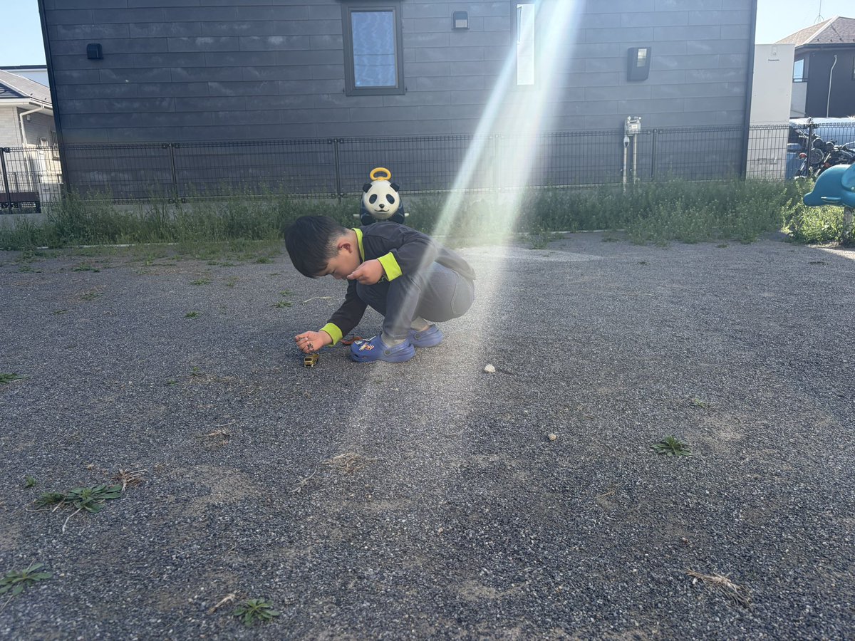 たけの仔 tweet media