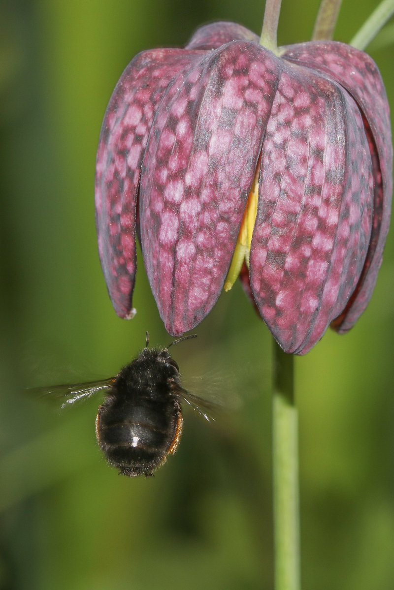 Dr Juliet Turner tweet media