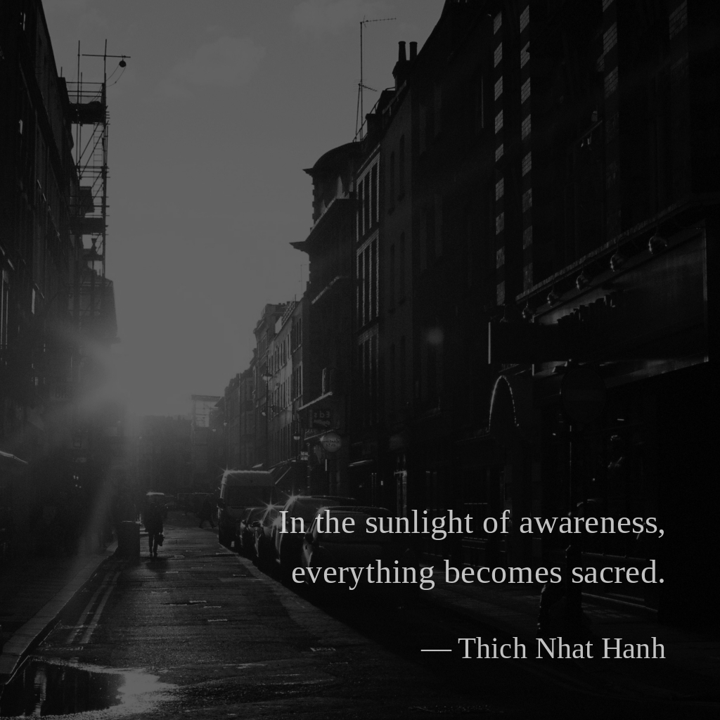wectar's tweet image. In the sunlight of awareness, everything becomes sacred. — Thich Nhat Hanh

#ThichNhatHanh #everything #awareness