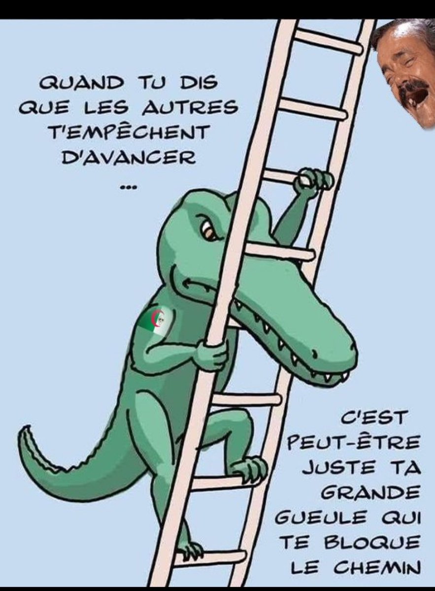 Miga337🇲🇦🇫🇷🇵🇸إن تنصر الله ينصركم 🇲🇦🇵🇸 tweet media