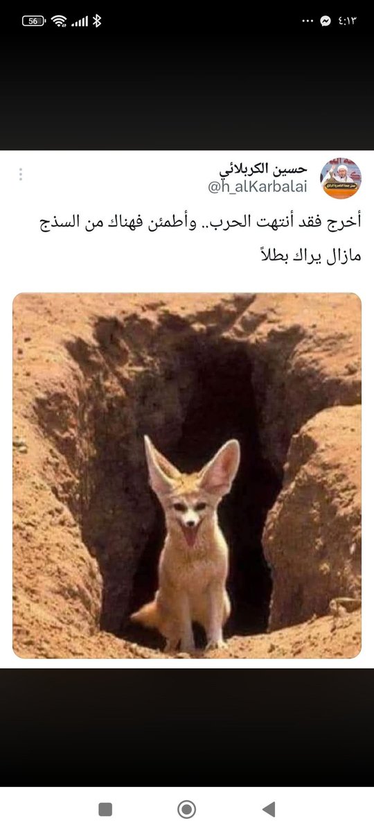 hasn_alsudny's tweet photo. @Qais_alkhazali https://t.co/9dR41Kh2Q4