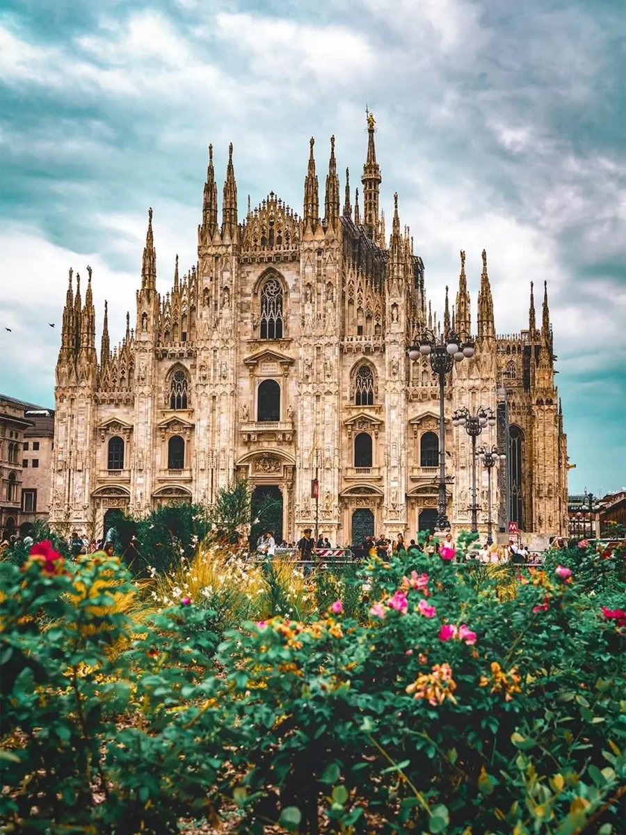 WanderLens tweet media