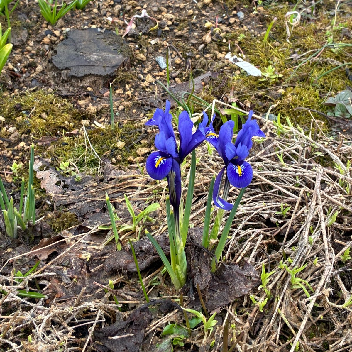 Natz🪐 tweet media