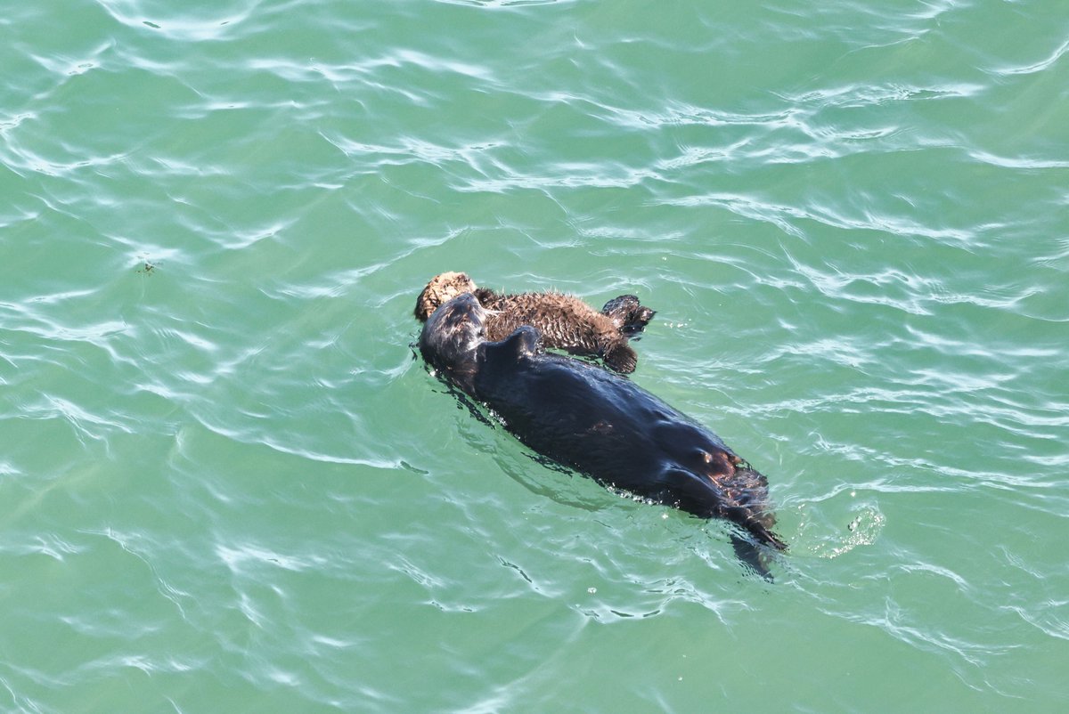 温根湯温泉の人♨️ tweet media