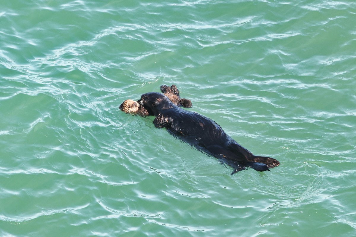 温根湯温泉の人♨️ tweet media