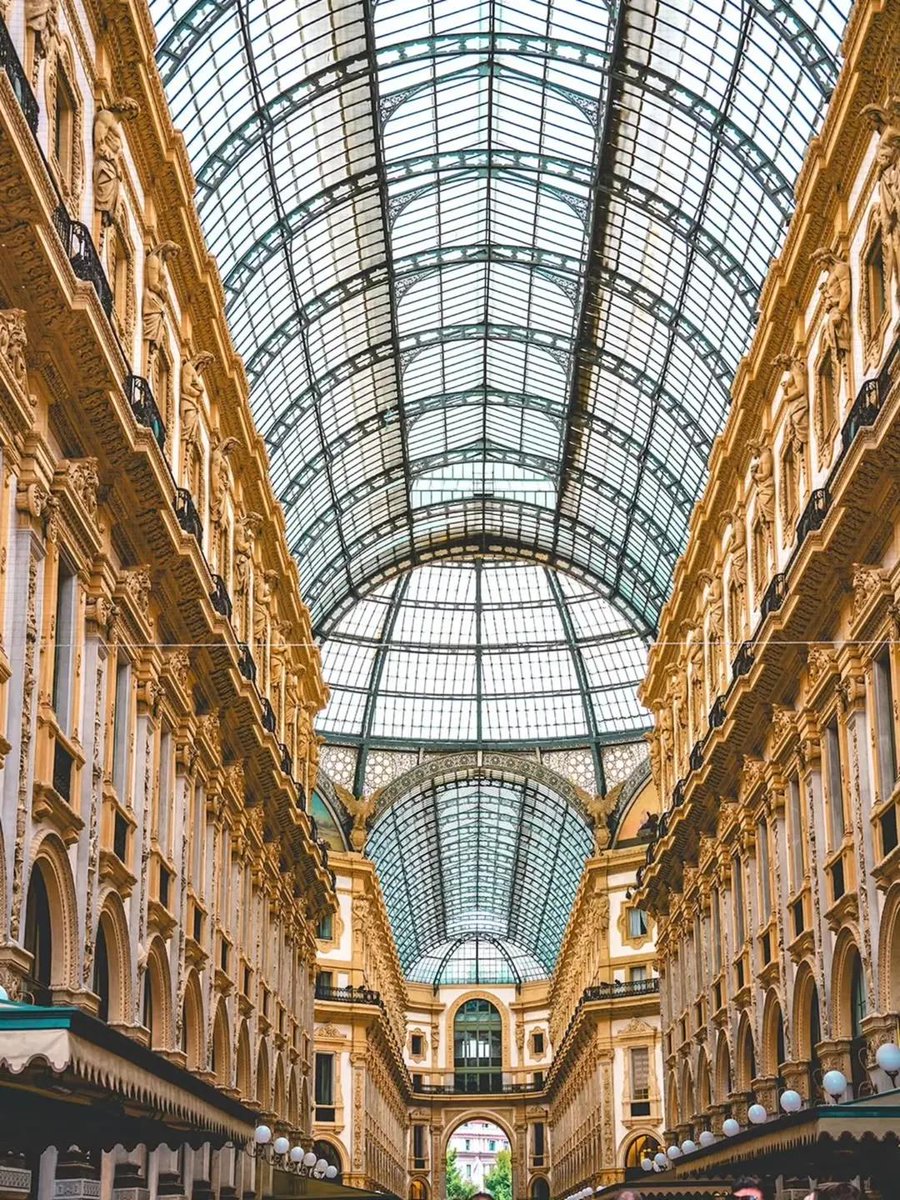 WanderLens tweet media