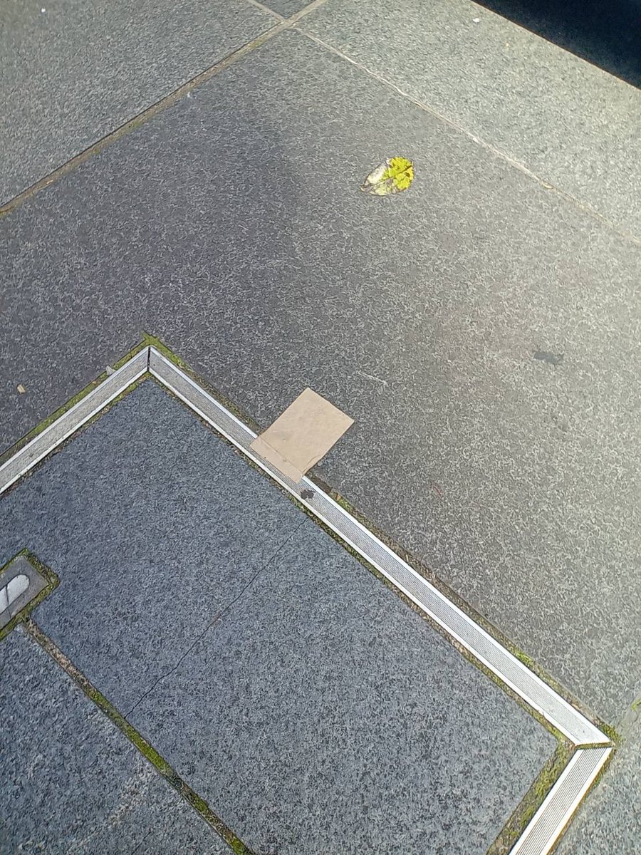 浅草ロック座 tweet media