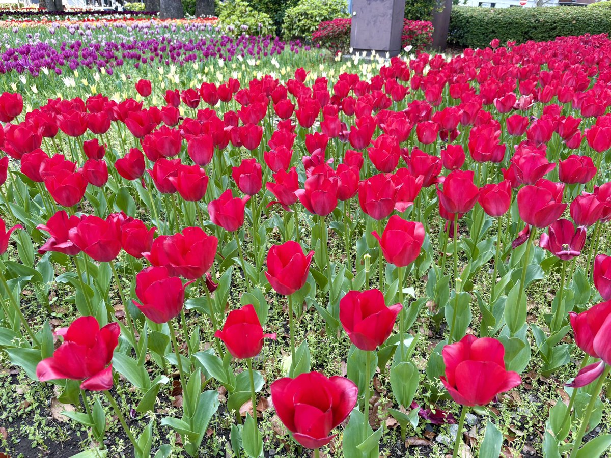 きりい tweet media