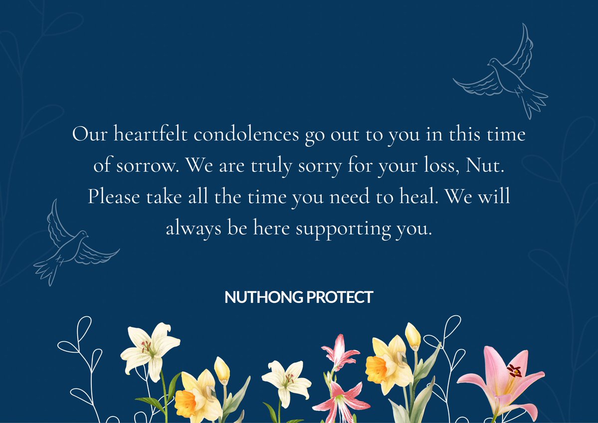 NUTHONG PROTECT tweet media