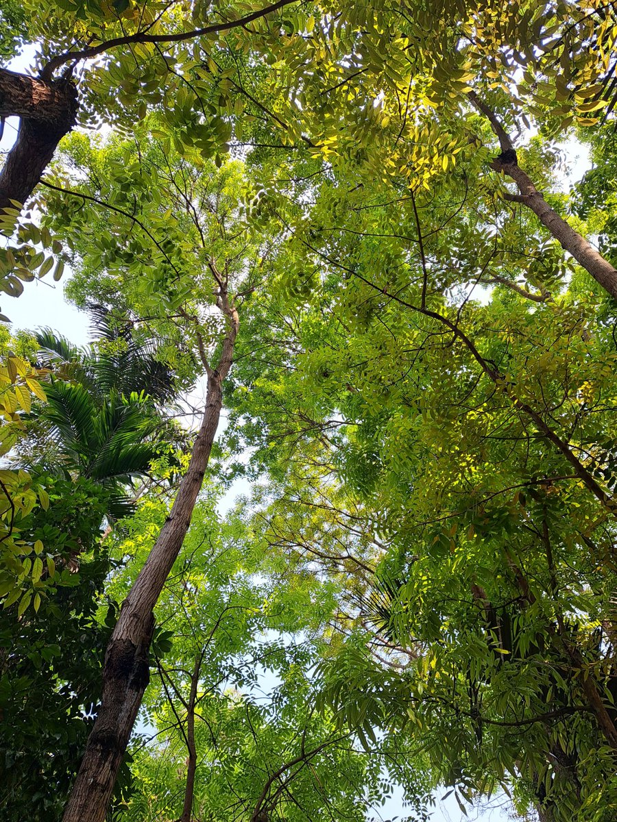 TinyBirb🐦 tweet media