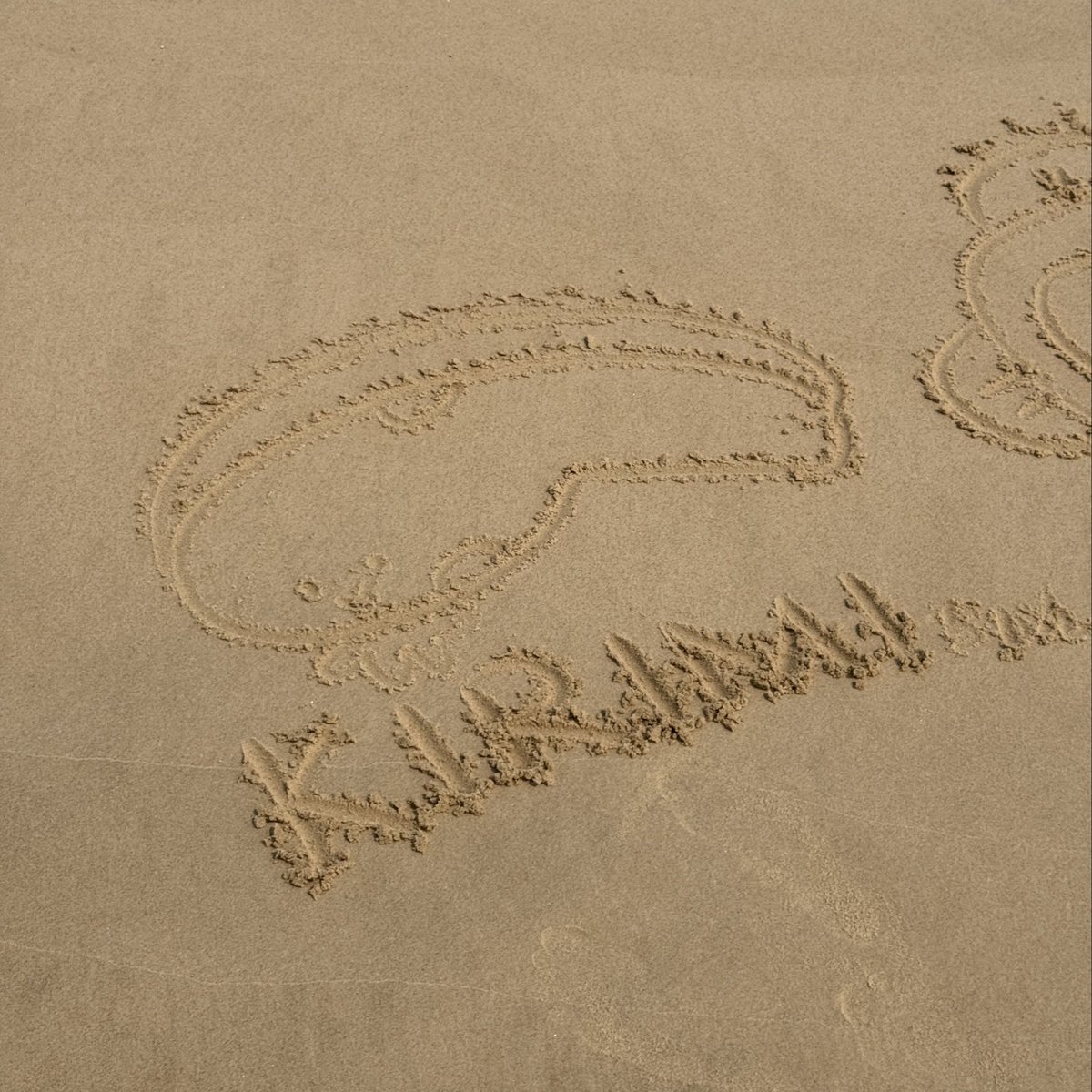 SuperOctopus_'s tweet photo. 🏖️

#KIRIMIちゃん #ハンギョドン https://t.co/qKJP0HFi20