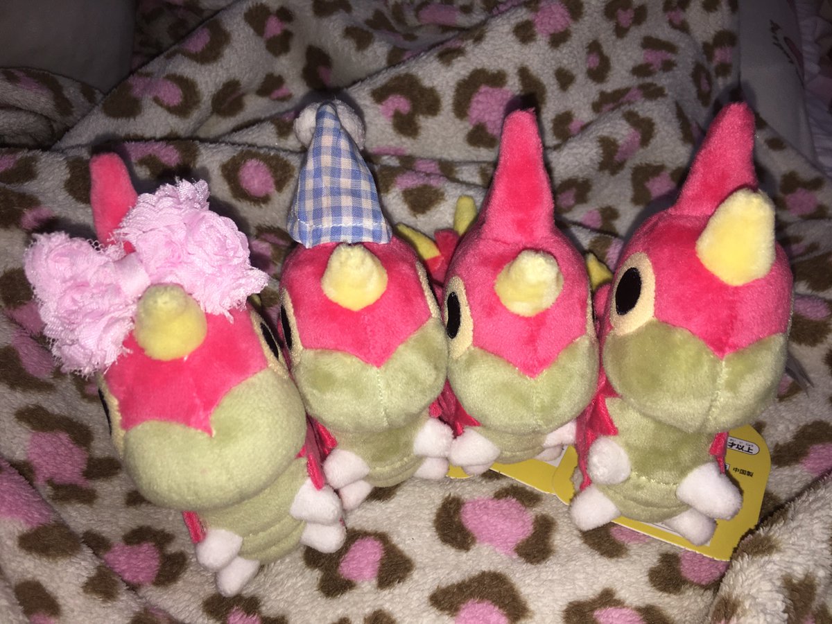 개므소 tweet media