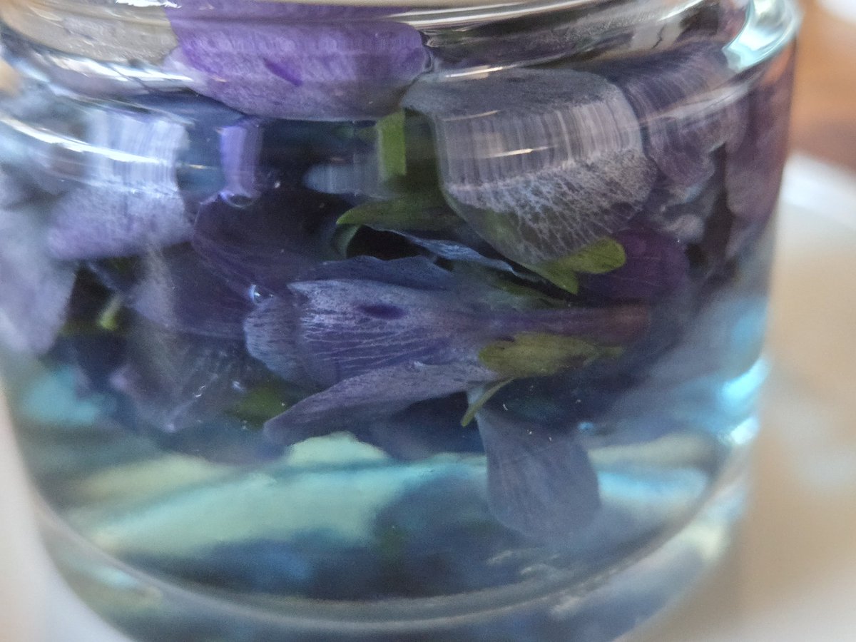 Merry Berries tweet media