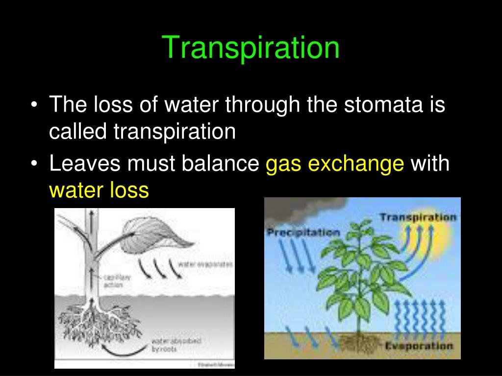 GodBotherer 1 tweet media