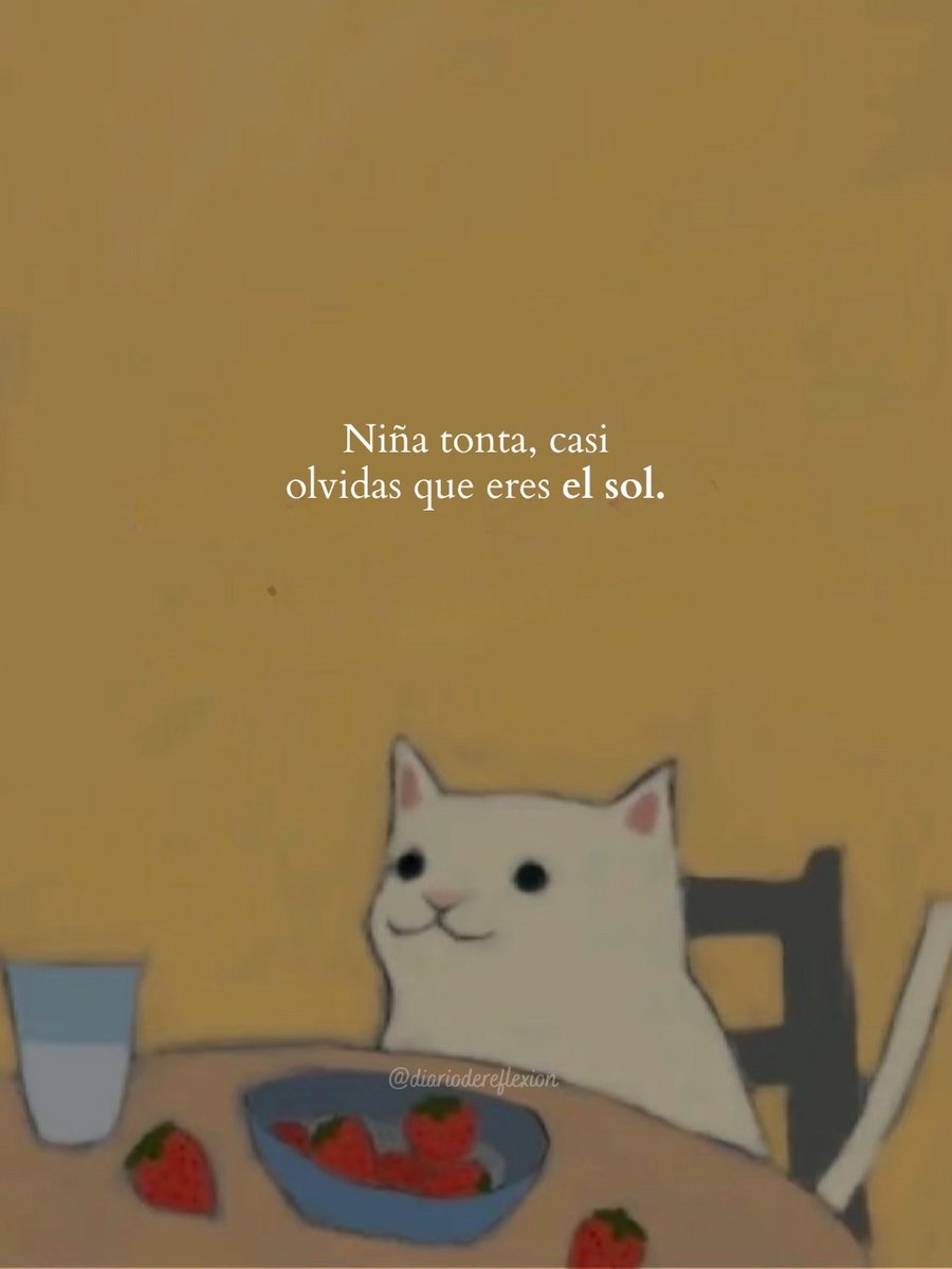 Mundo de Bigotes tweet media