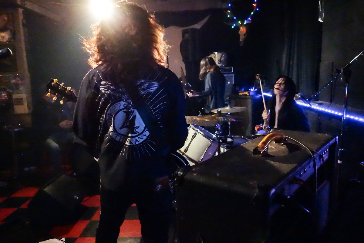 いねこ tweet media