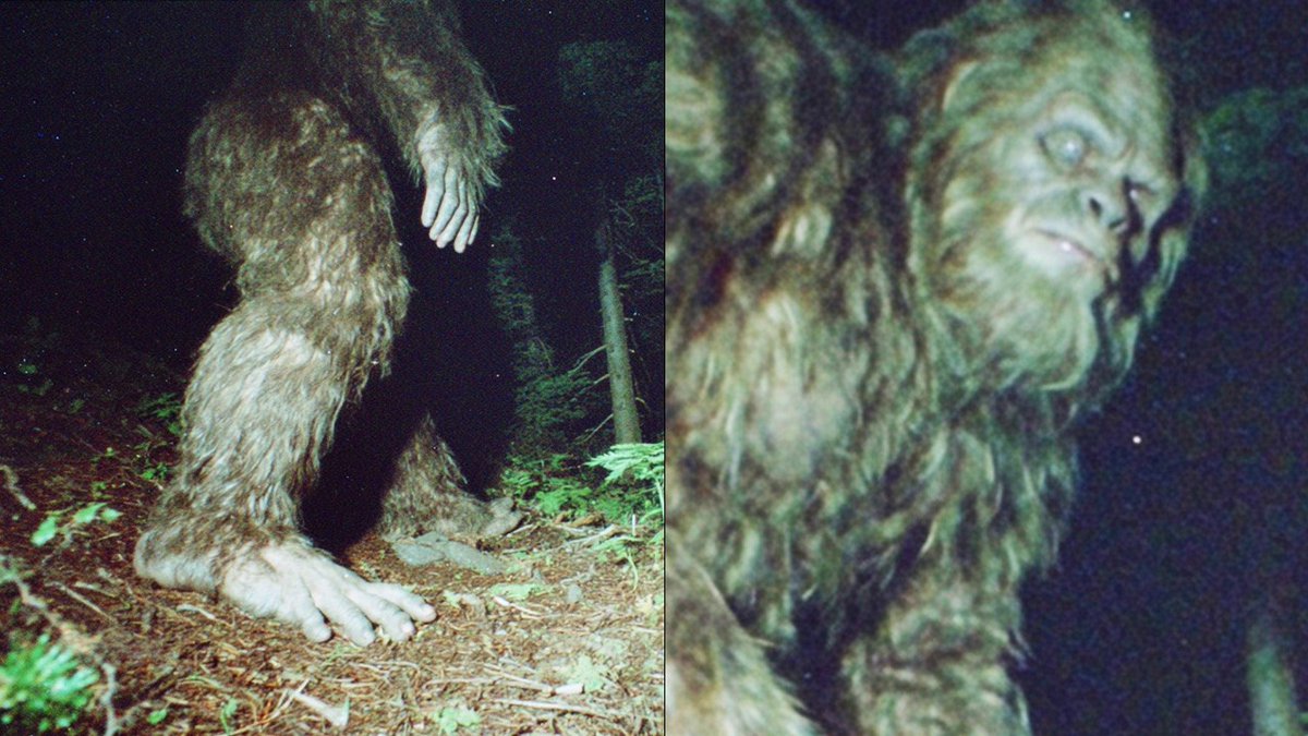 UFO mania tweet media