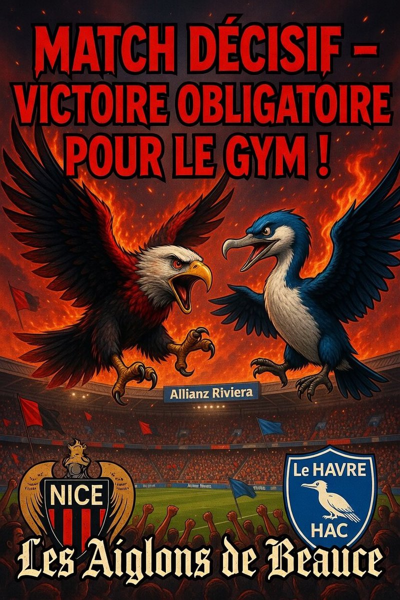 LouisViola59188's tweet photo. « Ce dimanche c’est la guerre à l’Allianz Riviera !
Le Gym doit absolument gagner contre le HAC.
Les Aiglons de Beauce sont prêts 🔥🔴⚫
Allez Nice ! #OGCN #AllezLeGym #OGCNHAC #ligue1 #ogcnice https://t.co/7mKfxTIyiq