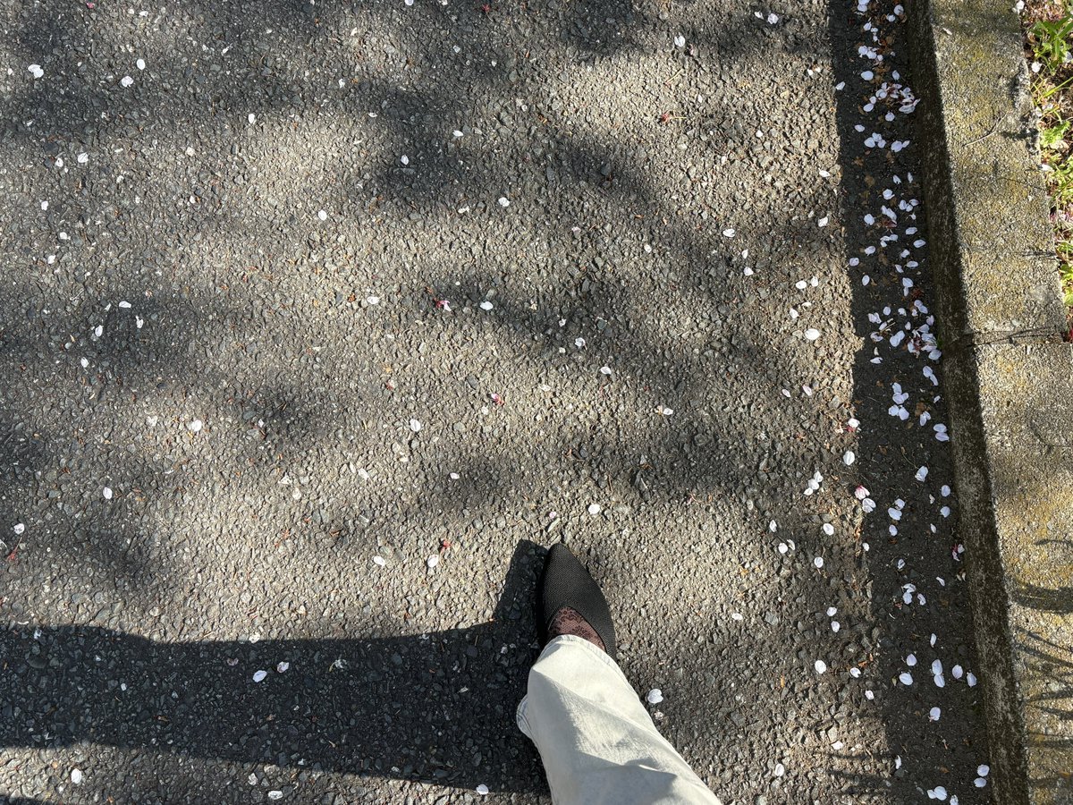℟*ﾟりつ tweet media