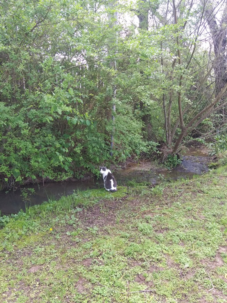 Snessy 👽🎮💗 tweet media