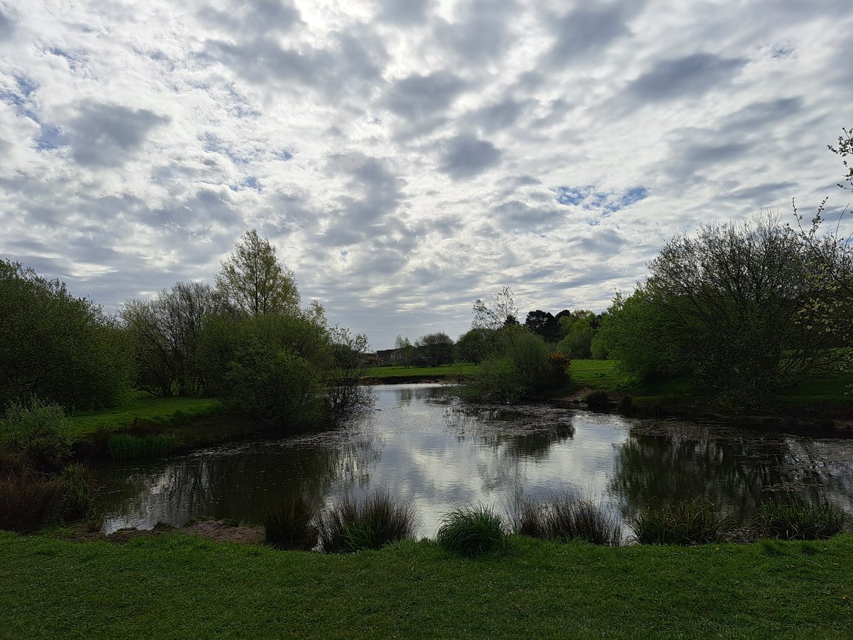 fionajroberts1's tweet image. Good morning from Dorset. Heavy rain last night, but the sun is back today. Yesterday's sky in #Poole #StormHour
