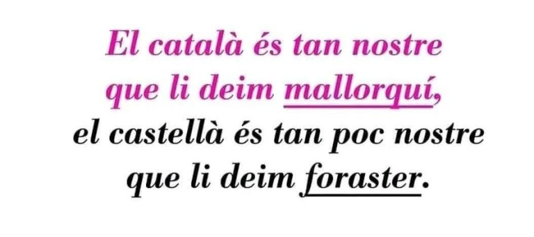 Balti Picornell tweet media