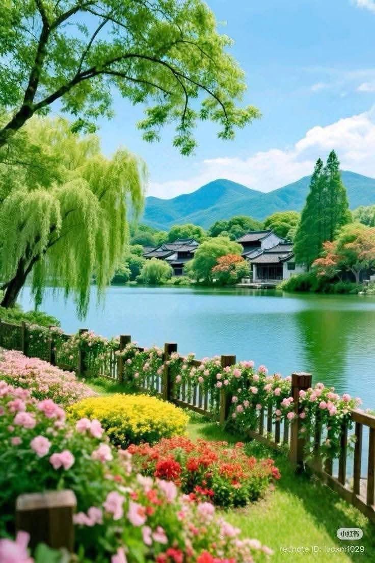 🌺🌼🌿🌼 Ǥ𝓻𝐚zɨa 🌼🌿🌼🌺 tweet media