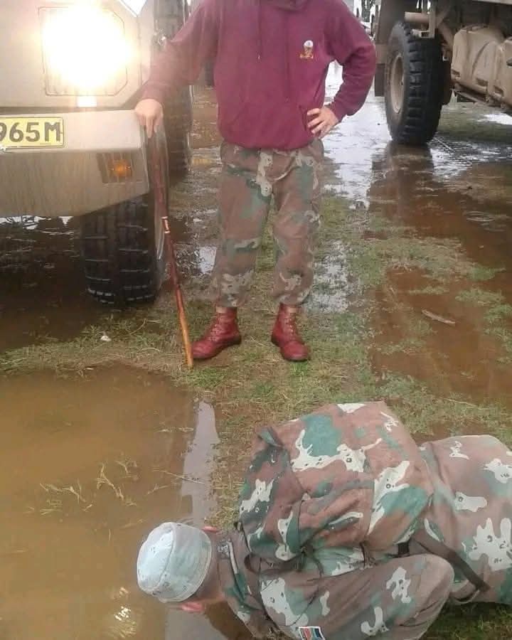 Mike the Warthog tweet media