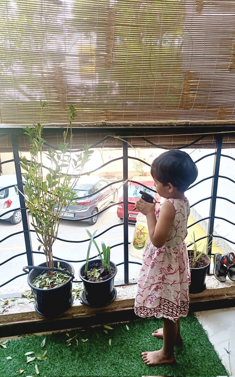 yeayeaiknow's tweet photo. Tiny hands, mighty gardeners! 🌿 
Let those green thumbs grow early!

#PlantParenthood #TinyGardeners #GrowWithYourKids #GreenThumbs
#SummerWithGrandma https://t.co/8sBBoW7p4r