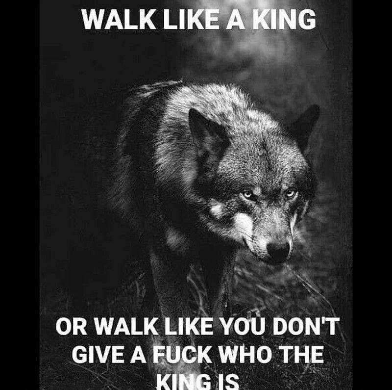 Wido Muruswallum tweet media