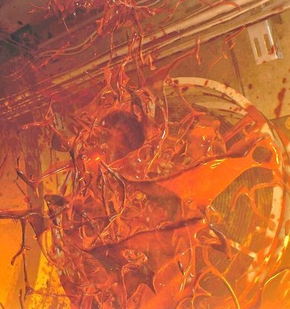 イッソン(niku miso) tweet media