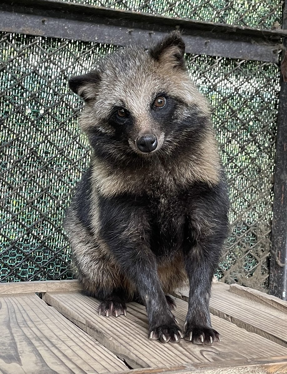 栃木県県民の森 tweet media