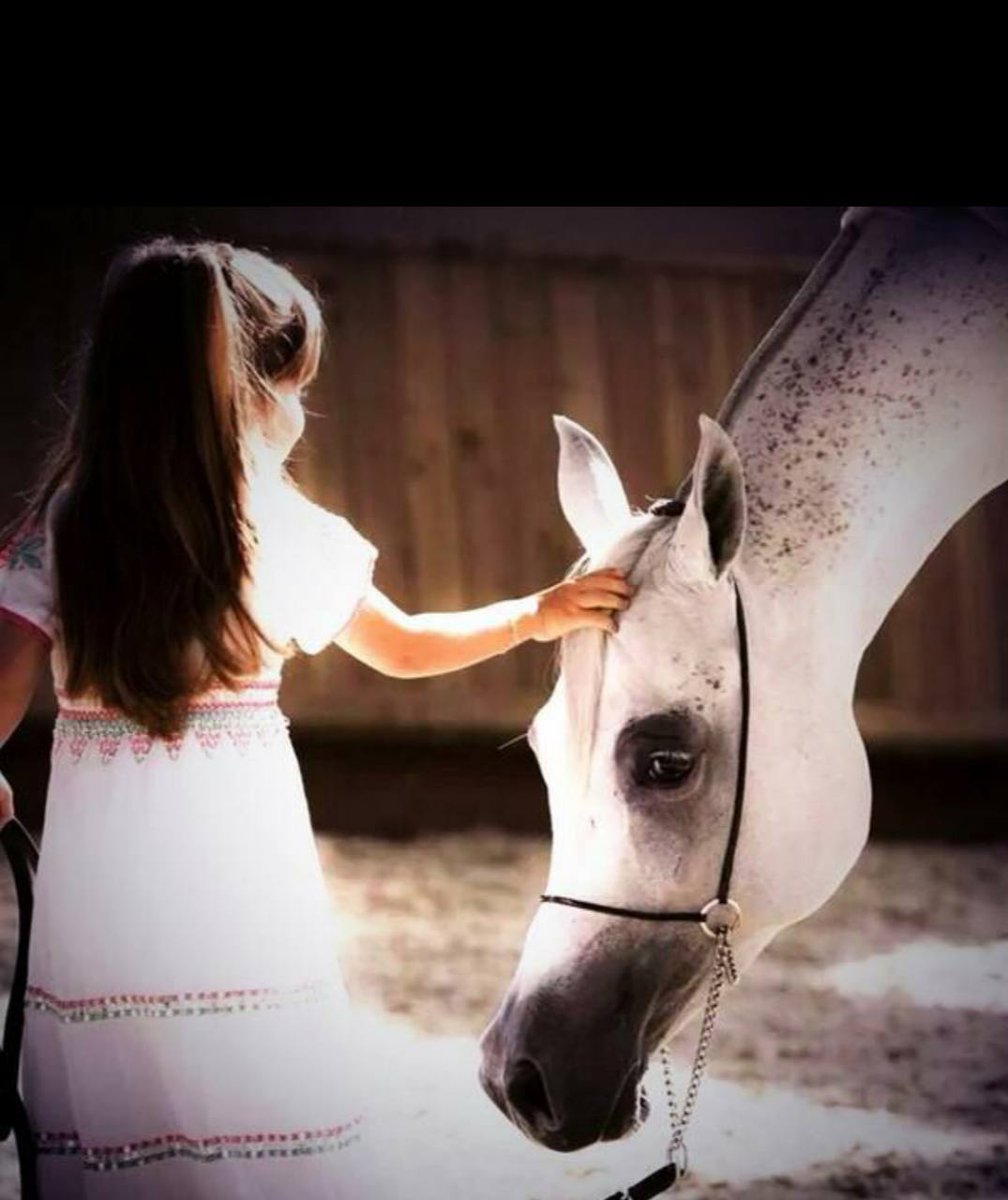 بـ♥ـنـ♥ـتـ♥ـ قـ♥ـطـ♥ـرٍ🇶🇦 tweet media