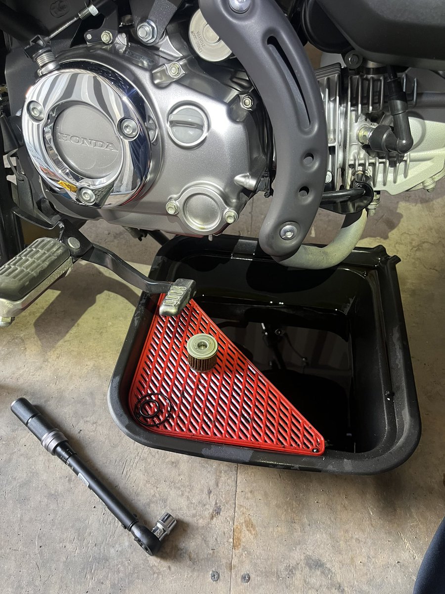 Ben⊿ 🐵🐶🐻+🚐&🦅(🔥🌪️)+🦢 tweet media