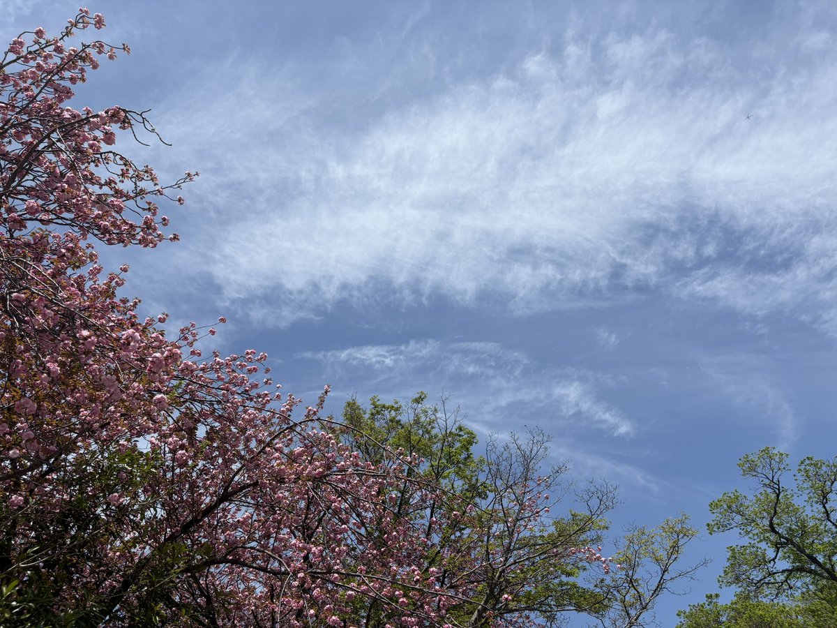 erico（Ellie GateGolden） tweet media