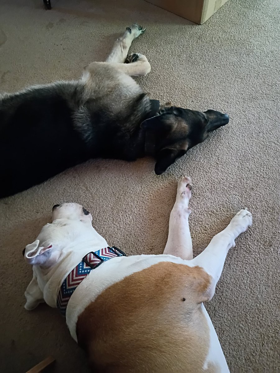 Elizabeth Mc tweet media