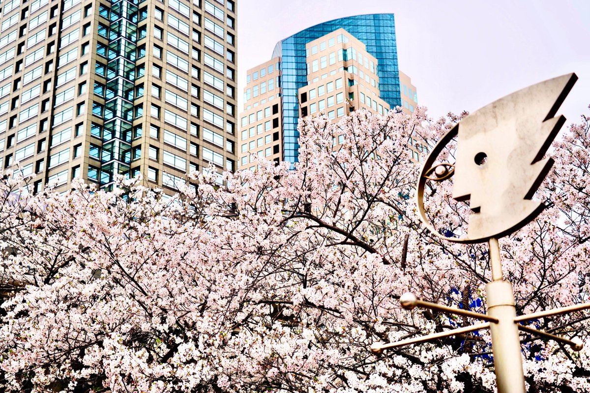 ガーデンネックレス横浜公式 tweet media