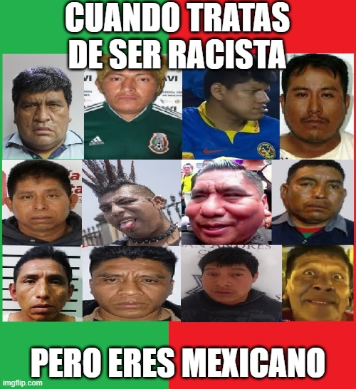 diciendo verdades tweet media