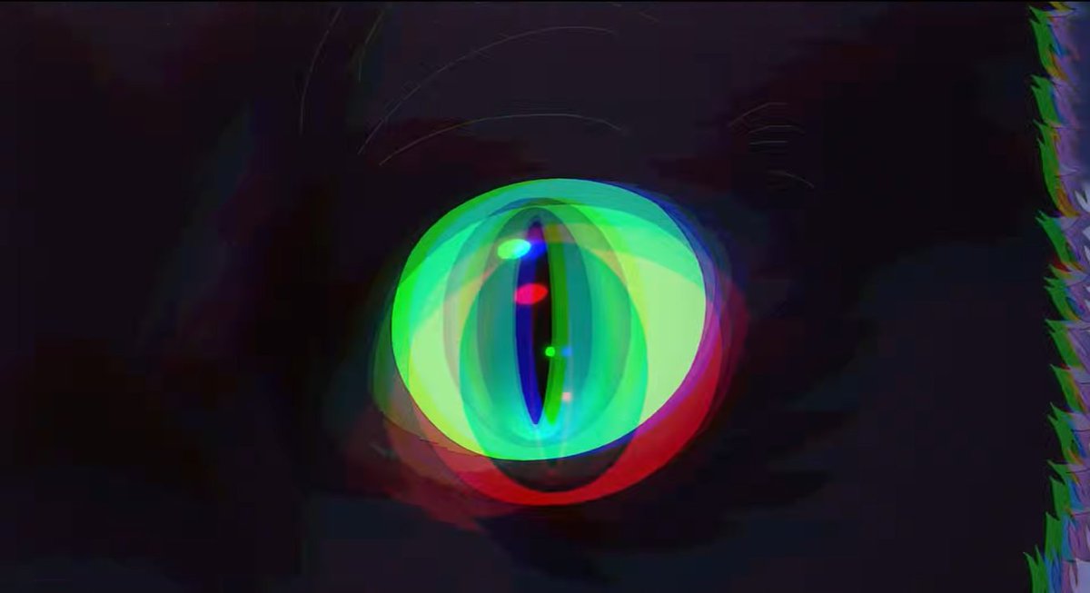 Nitroband tweet media